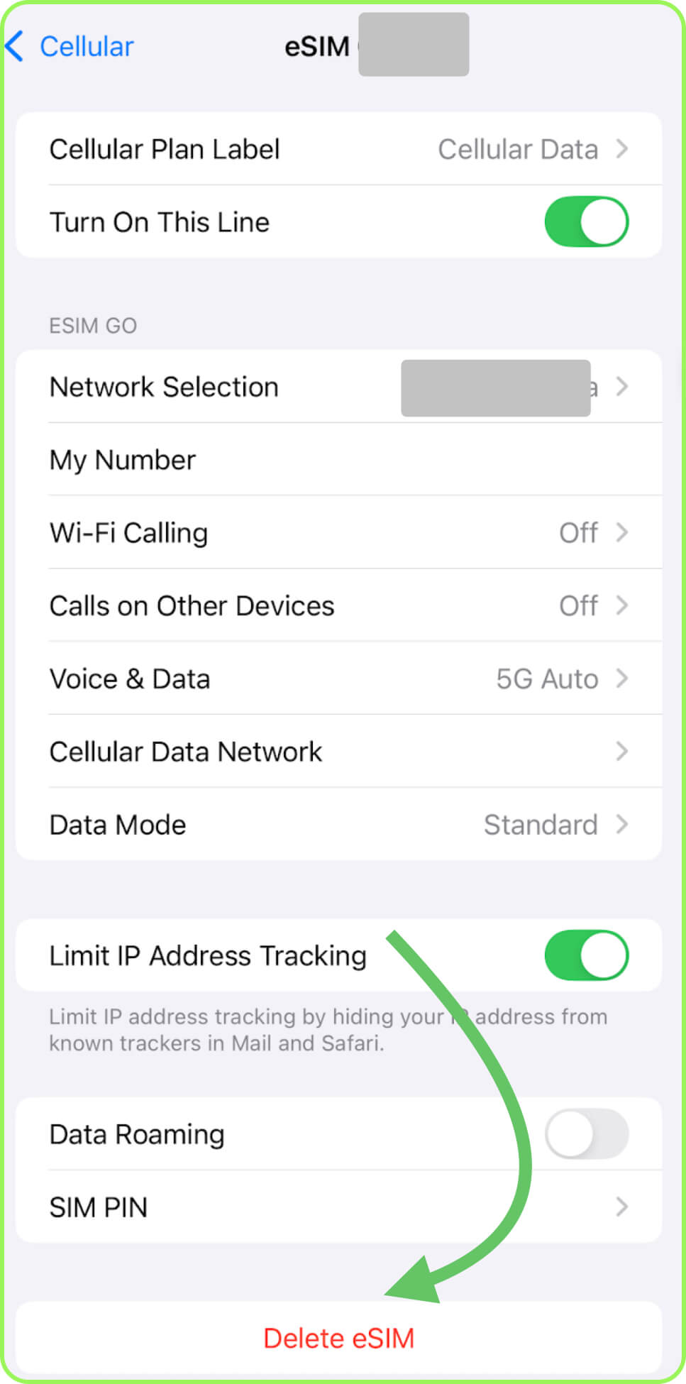 iOS Cellular screen with the Delete eSIM option