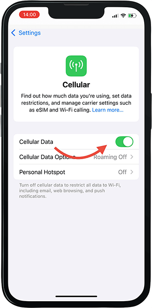 Cellular Data on iPhone