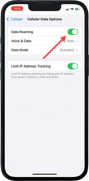 eSIM Data Roaming