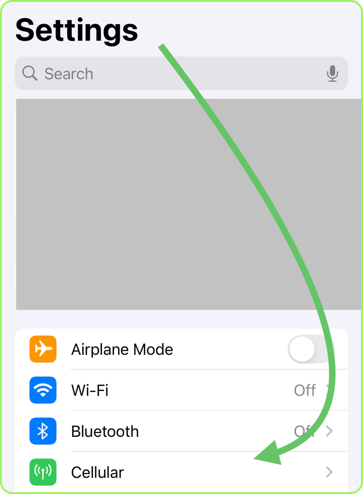 Open settings and tap Mobile Data (Cellular)