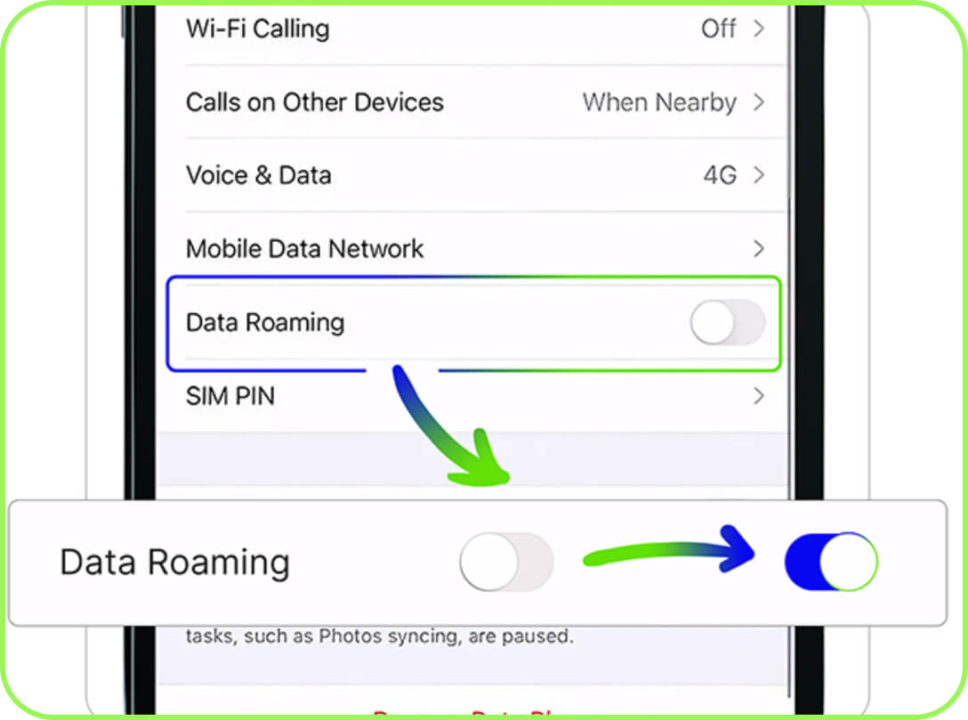 turn on data roaming